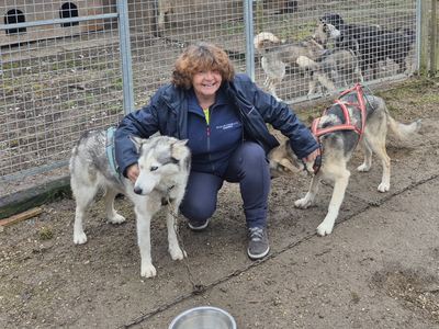 Eine Frau kniet zwischen zwei Huskys in einem Gehege.