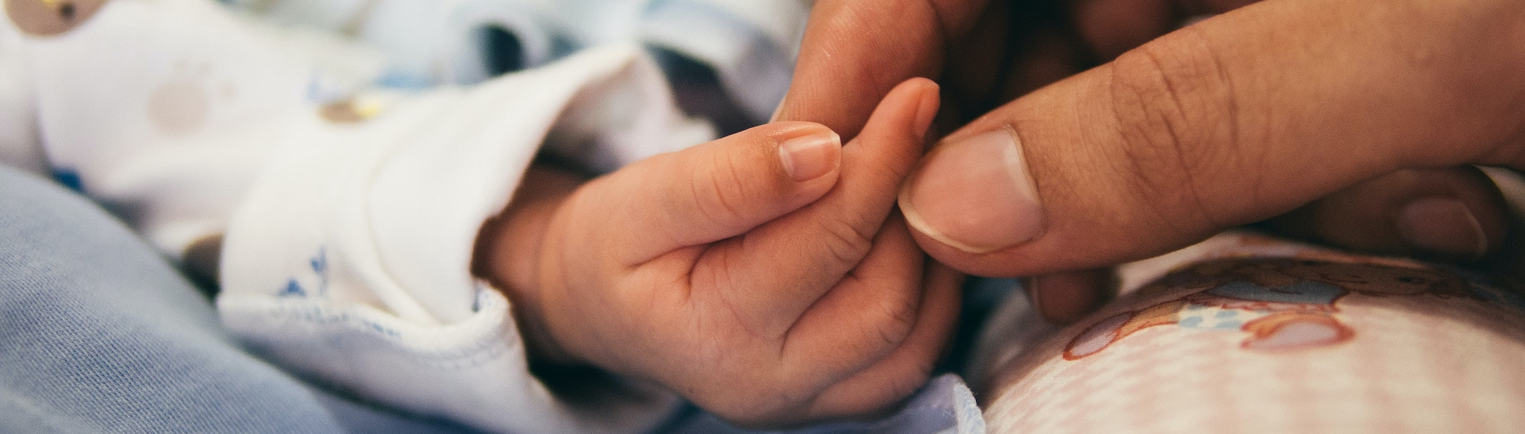 Hand von erwachsener Person hält Hand von Baby